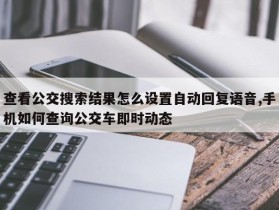 查看公交搜索结果怎么设置自动回复语音,手机如何查询公交车即时动态