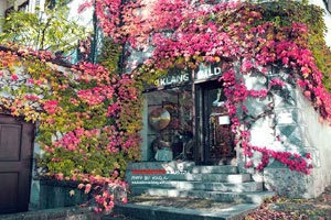 谷歌地图搜索地址怎么搜经纬度,谷歌地图如何经纬查询