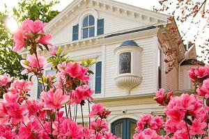 精密导航,大伊香蕉