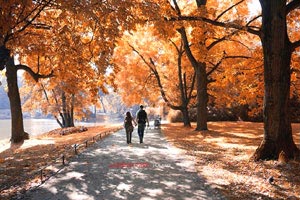 谷歌地图搜索地址怎么搜经纬度,谷歌地图如何经纬查询